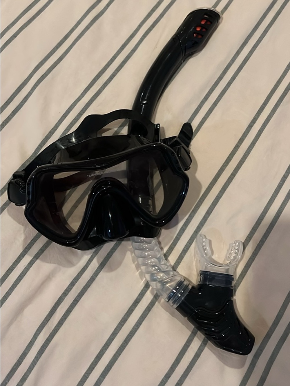 Black Snorkel Mask and Dry-Top Snorkel - Black